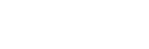 Standard Sponsor 4