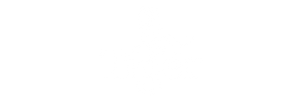 Standard Sponsor 4