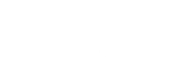 Standard Sponsor 4