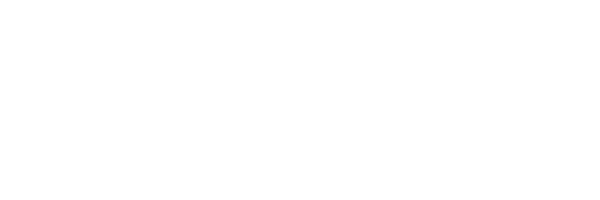 standard Sponsor 2